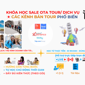 Otavn Ota Viet Nam Dao Tao Sale Ota Tour Tu Hoc Online